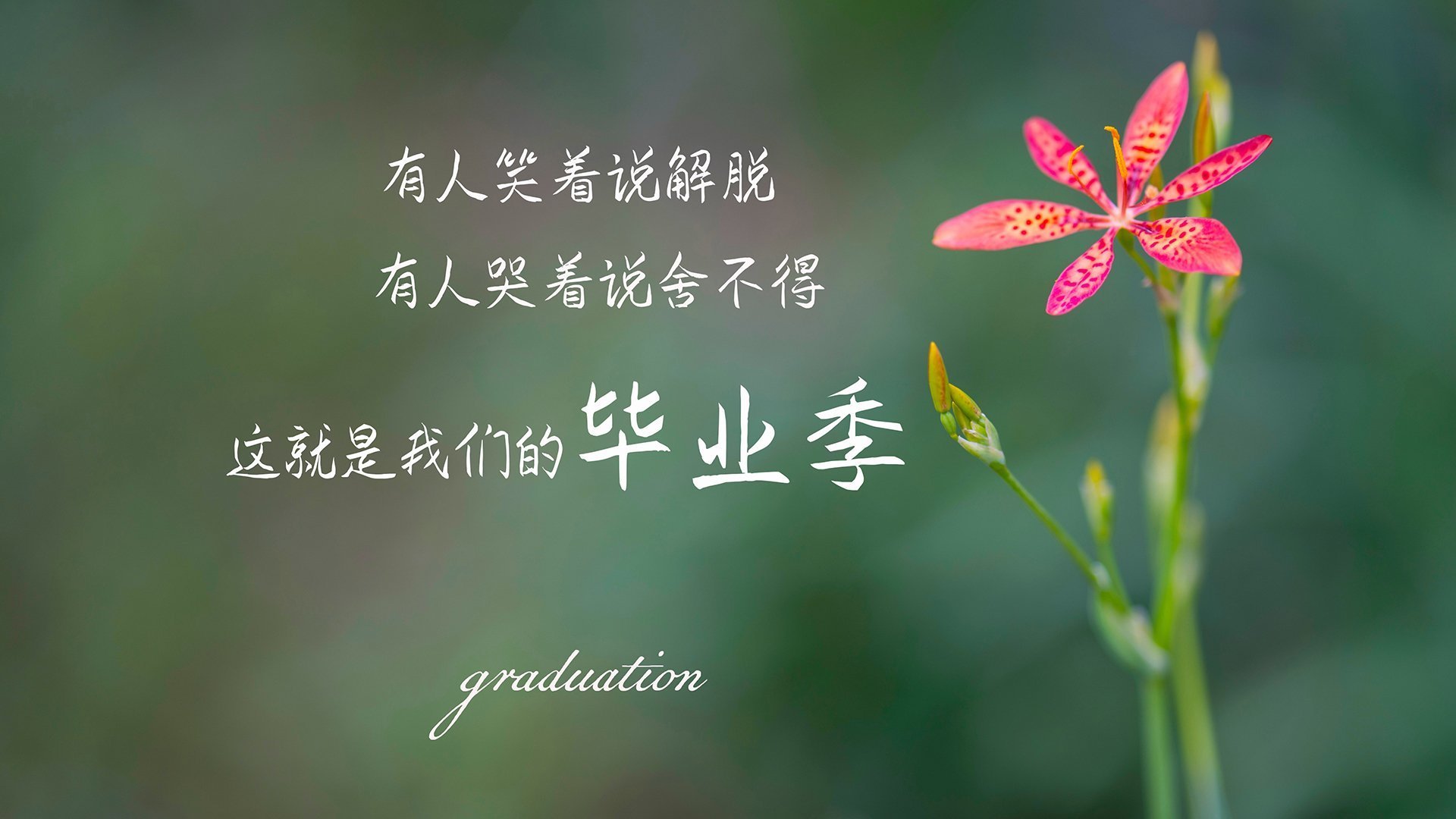 拜仁主场大胜,凭借进攻火力击败对手,球赛拜仁