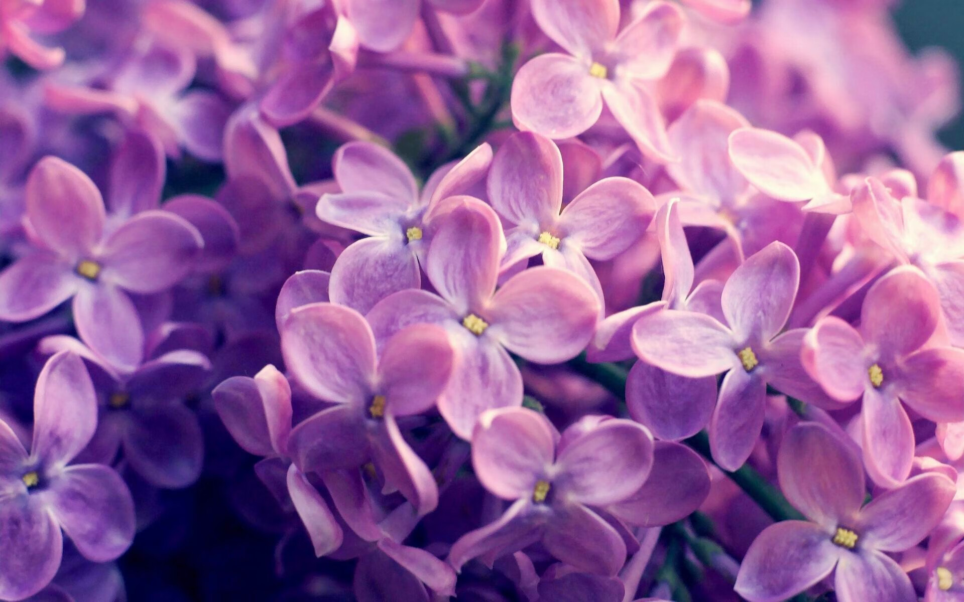 热血擂台!两支劲旅将在场上拼尽全力