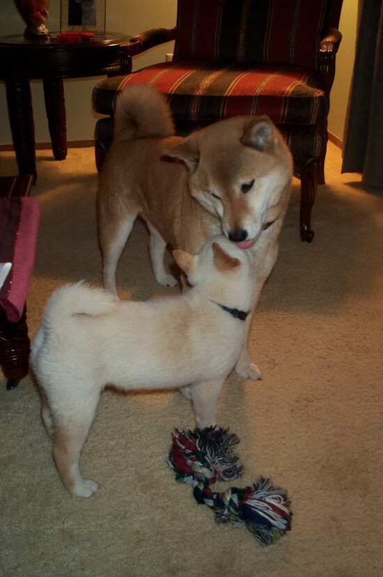 Leyu Sport下载-瓦伦西亚球队动荡不安，换帅风波，瓦伦西亚球队别名