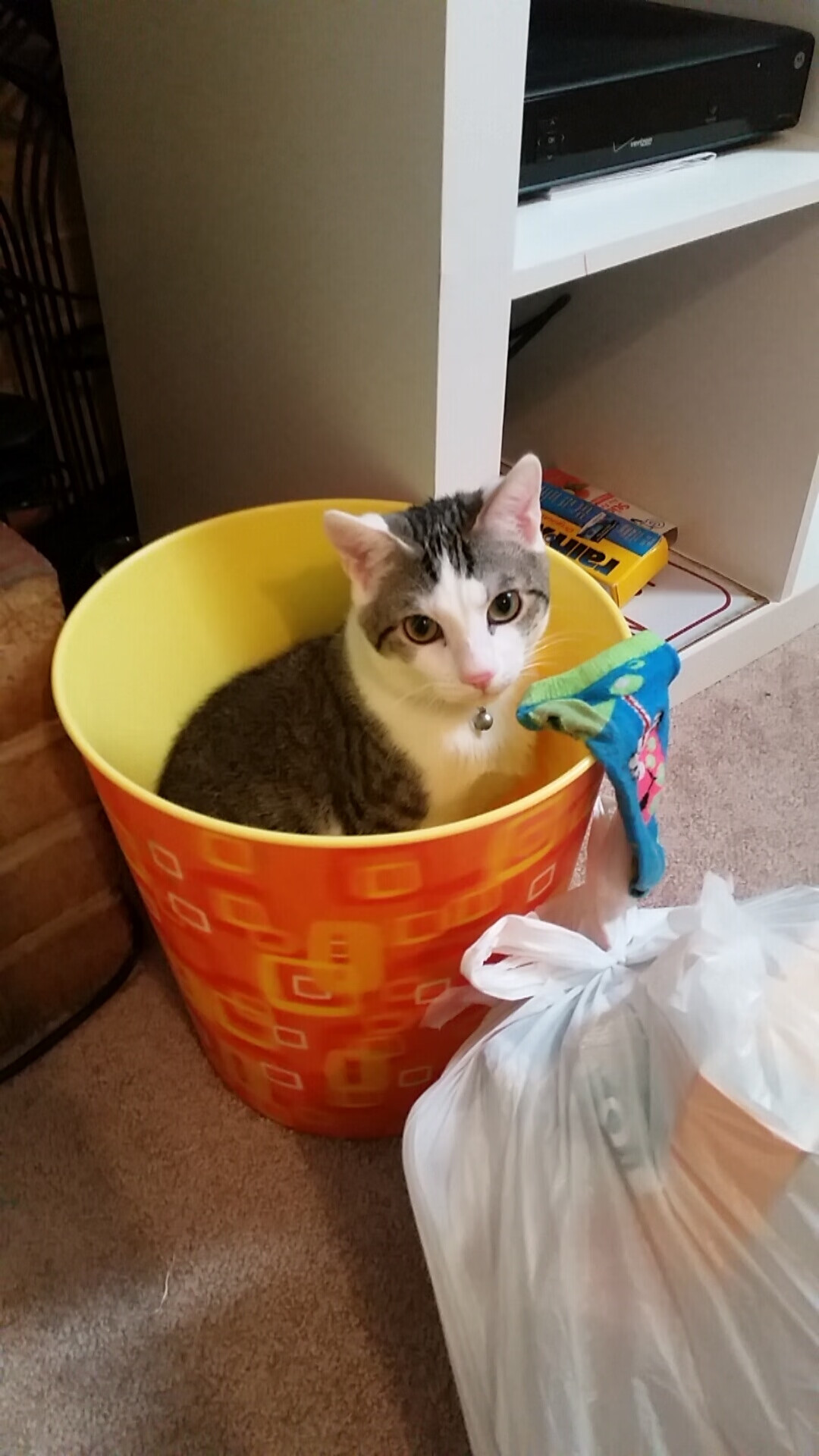 LeyuSports-香港球队主场止步，晋级形势不利，香港球队叫法