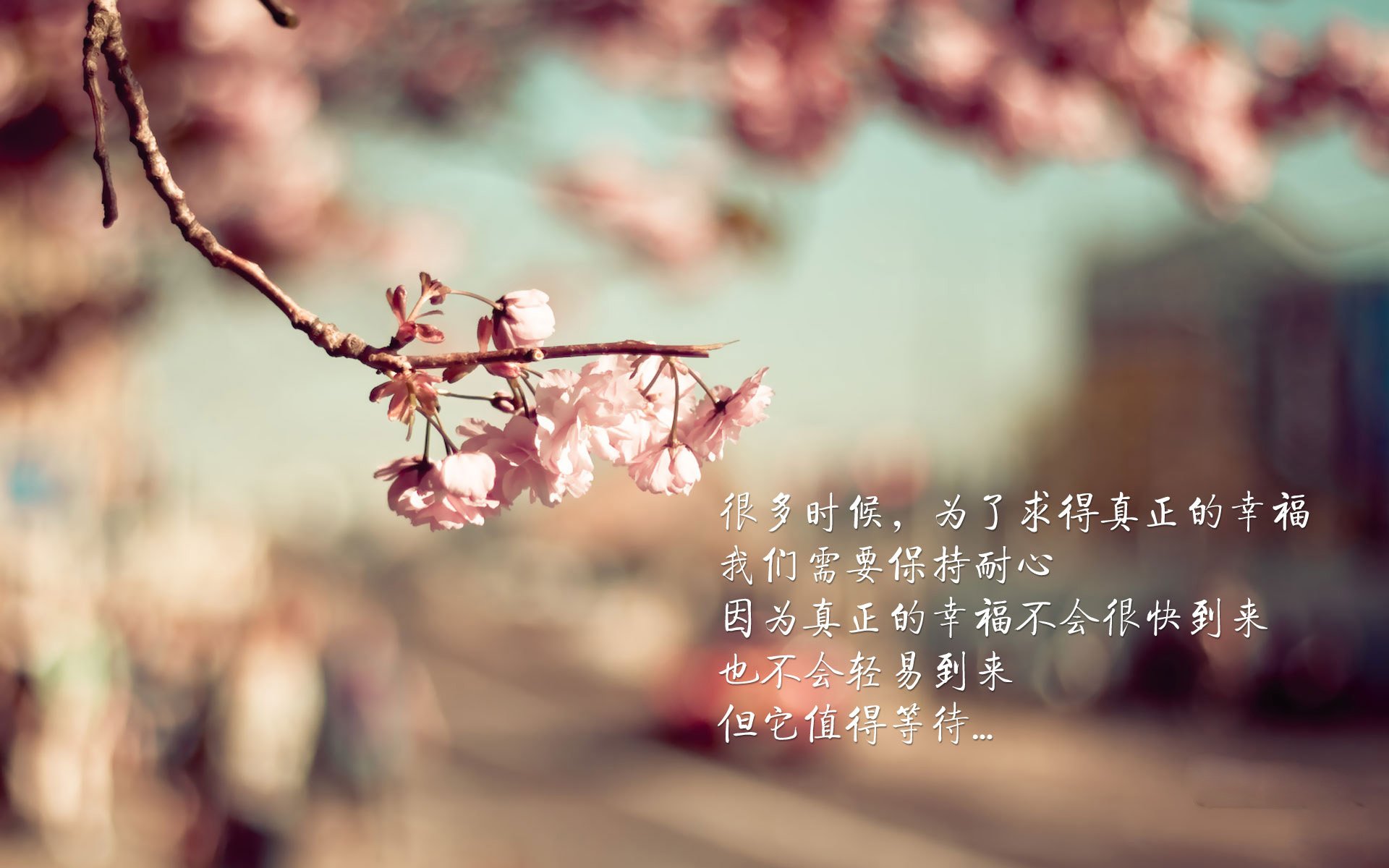 下载乐鱼体育APP-青少年体育目标导向行为形成机制研究，《青少年体育活动促进计划》