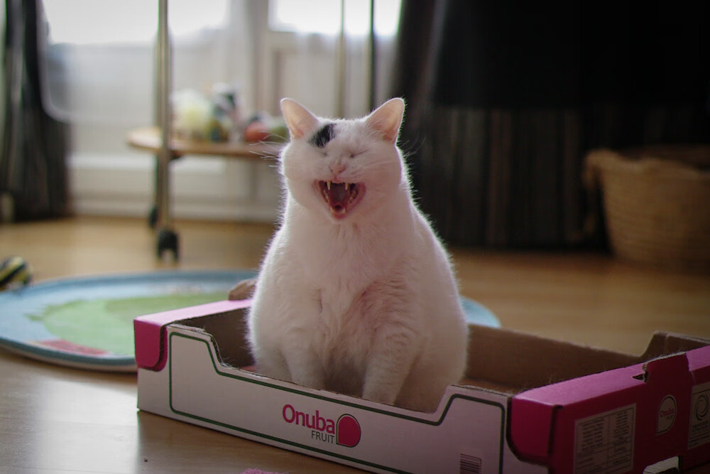 F1赛季积分榜变动频繁 冠军归属悬念丛生，f1比赛积分