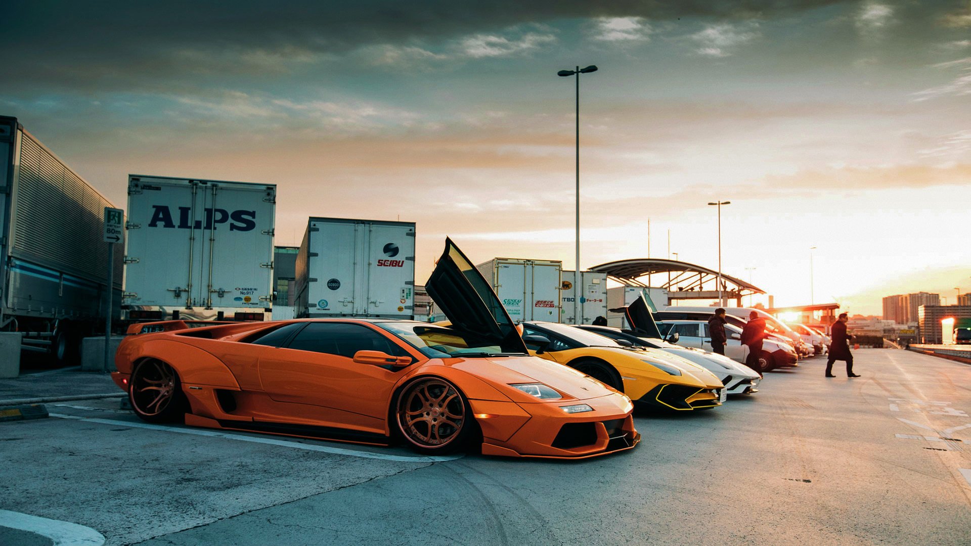 乐鱼官方登录入口-水球荷兰女队反击速度显优势，荷兰女子球迷