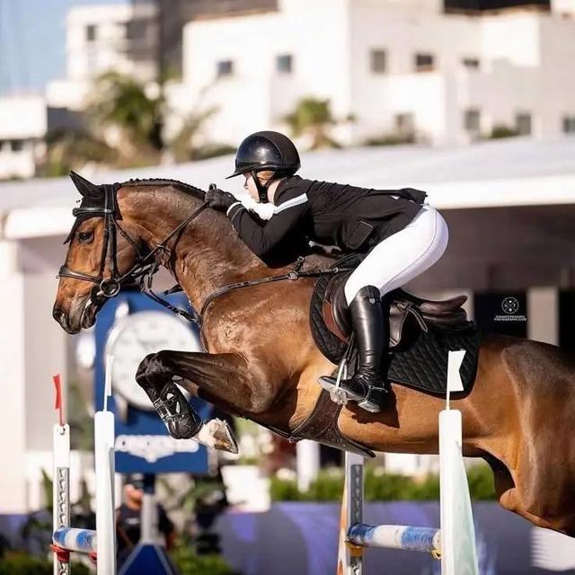 "马术运动的优雅：马与人的完美合作"的简单介绍