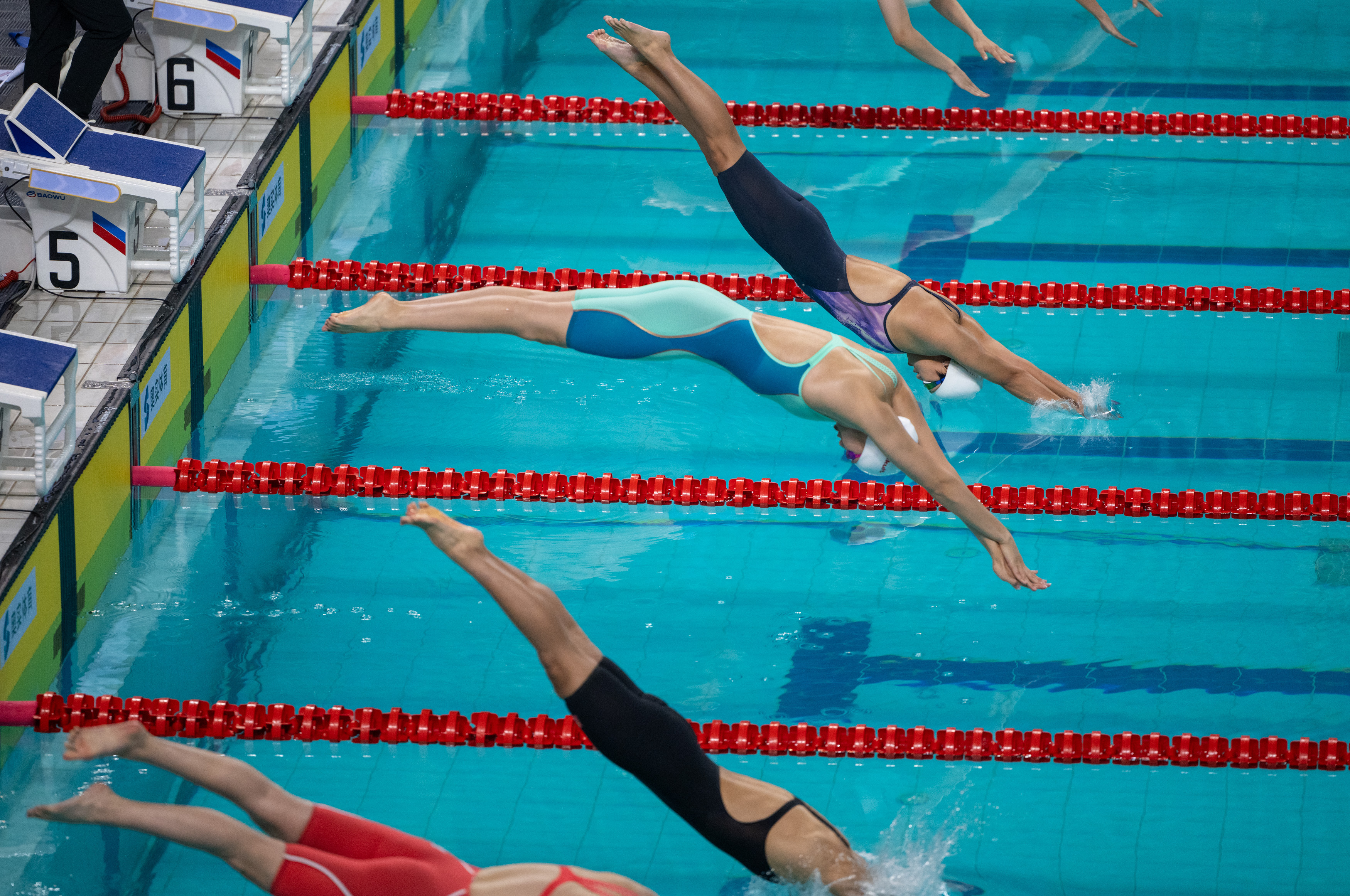 包含"国际游泳锦标赛：新纪录的追逐"的词条